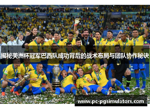 揭秘美洲杯冠军巴西队成功背后的战术布局与团队协作秘诀
