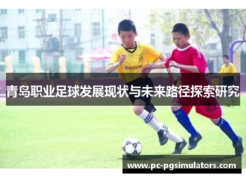 青岛职业足球发展现状与未来路径探索研究 青岛职业足球发展现状与未来路径探索研究