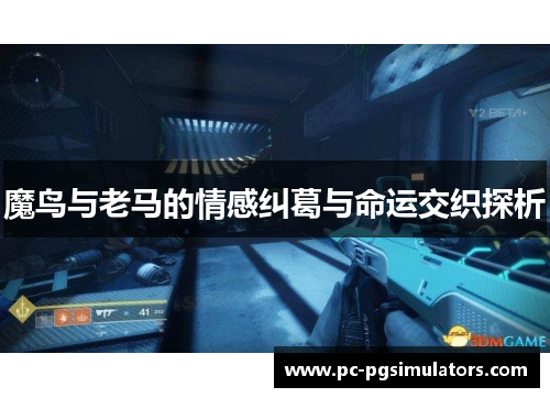 魔鸟与老马的情感纠葛与命运交织探析