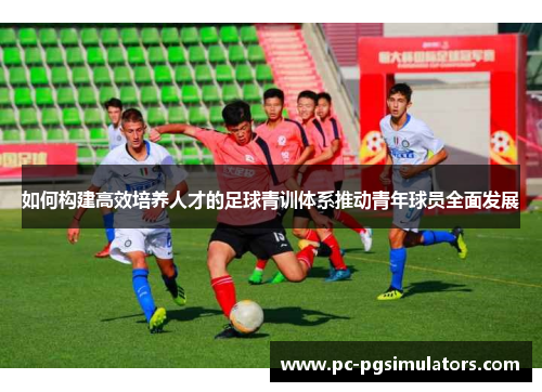 如何构建高效培养人才的足球青训体系推动青年球员全面发展